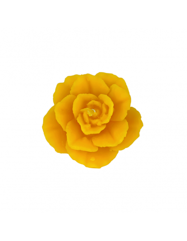 ŚWIECZKA - PĄSOWA R&Oacute;ŻA