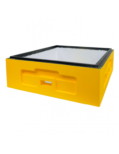 KORPUS WIELKOPOLSKI 1/2 12 RAMKOWY - ŻÓŁTY