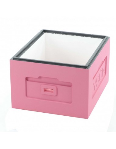 KORPUS WIELKOPOLSKI 12 RAMKOWY - R&Oacute;ŻOWY