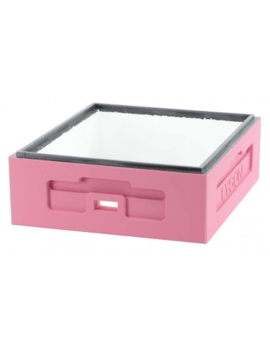 KORPUS WIELKOPOLSKI 1/2  12 RAMKOWY - R&Oacute;ŻOWY