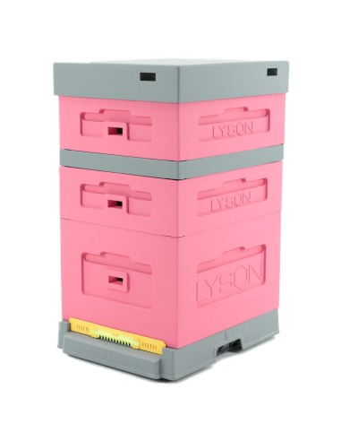 UL DADANT Z DENNICĄ PLASTIKOWĄ HIGIENICZNĄ -...