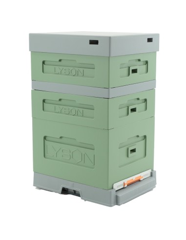 UL DADANT Z DENNICĄ PLASTIKOWĄ HIGIENICZNĄ -...