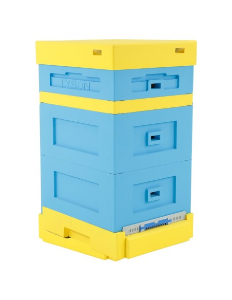 UL LANGSTROTH Z DENNICĄ HIGIENICZNĄ - MALOWANY