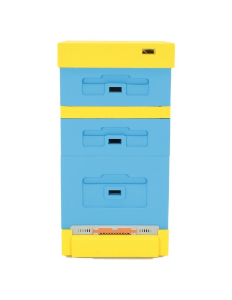 UL DADANT Z WYSOKĄ DENNICĄ HIGIENICZNĄ - MALOWANY