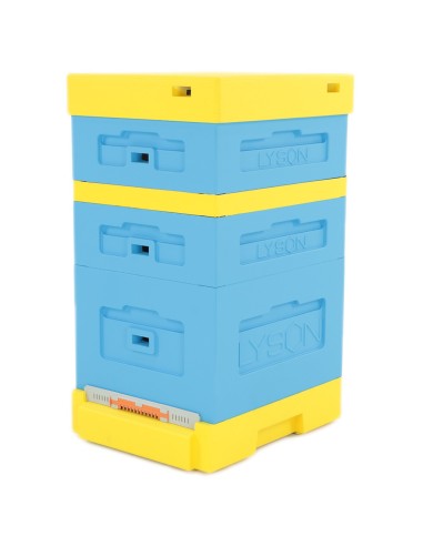 UL DADANT Z WYSOKĄ DENNICĄ HIGIENICZNĄ - MALOWANY