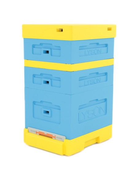 UL DADANT Z WYSOKĄ DENNICĄ HIGIENICZNĄ - MALOWANY