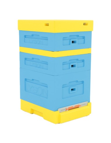 UL DADANT Z WYSOKĄ DENNICĄ HIGIENICZNĄ - MALOWANY