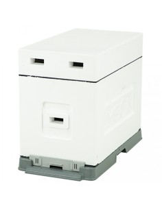 UL 6 RAMKOWY DADANT Z WRĘGAMI - NIEMALOWANY