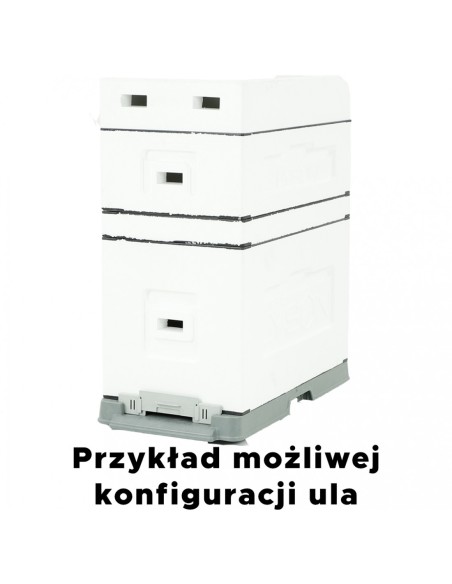 UL 6 RAMKOWY DADANT Z WRĘGAMI - NIEMALOWANY