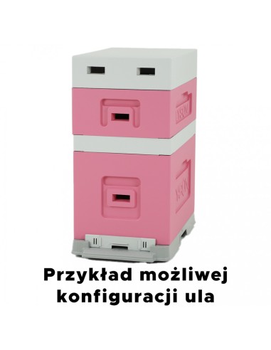 UL 6 RAMKOWY WIELKOPOLSKI Z WRĘGAMI - MALOWANY...