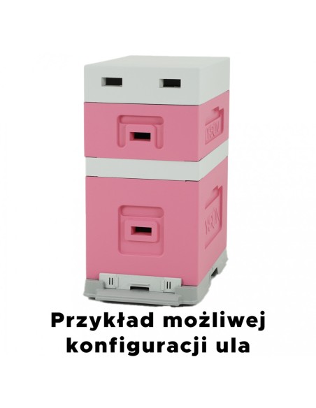 UL 6 RAMKOWY WIELKOPOLSKI Z WRĘGAMI - MALOWANY - R&Oacute;ŻOWY