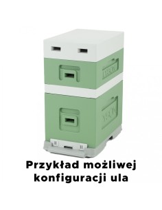 UL 6 RAMKOWY WIELKOPOLSKI Z WRĘGAMI - MALOWANY - ZIELONY 2