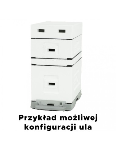 UL 6 RAMKOWY WIELKOPOLSKI Z WRĘGAMI - NIEMALOWANY