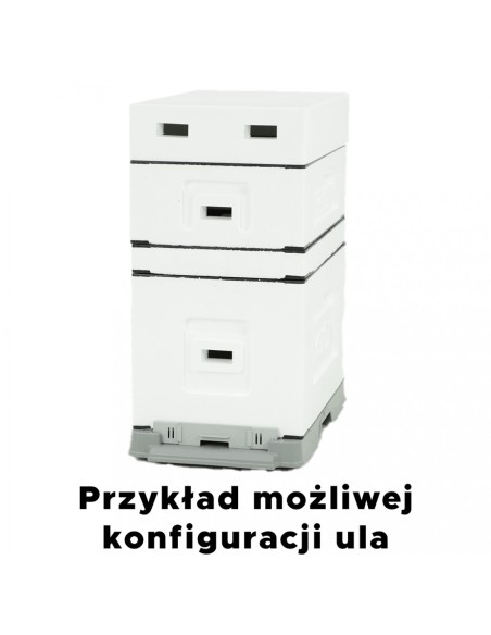 UL 6 RAMKOWY WIELKOPOLSKI Z WRĘGAMI - NIEMALOWANY