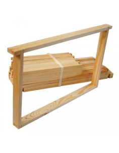 RAMKA OSTROWSKIEJ ZWYKŁA - 10 SZTUK