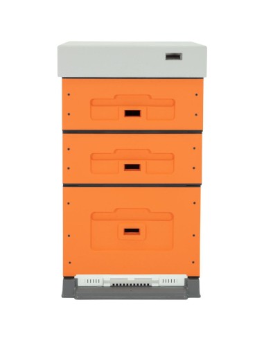 UL DADANT, MALOWANY DO SAMODZIELNEGO MONTAŻU -...