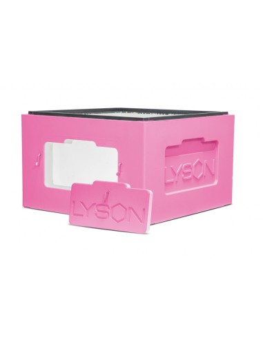 KORPUS POKAZOWY WIELKOPOLSKI - MALOWANY - R&Oacute;ŻOWY