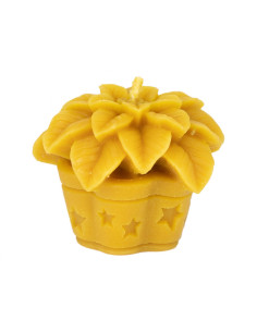 FORMA SILIKONOWA - GWIAZDA BETLEJEMSKA - WYSOKOŚĆ 7CM