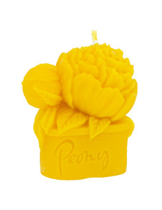 FORMA SILIKONOWA - PIWONIA