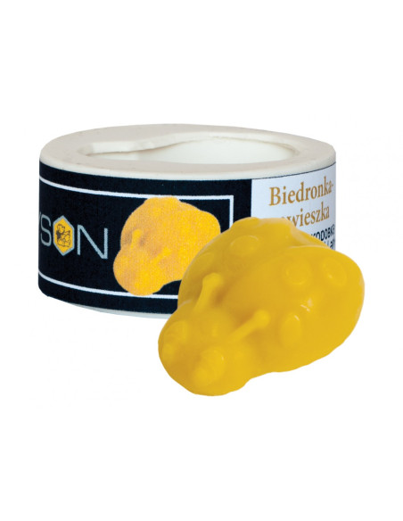 FORMA SILIKONOWA - BIEDRONKA - ZAWIESZKA