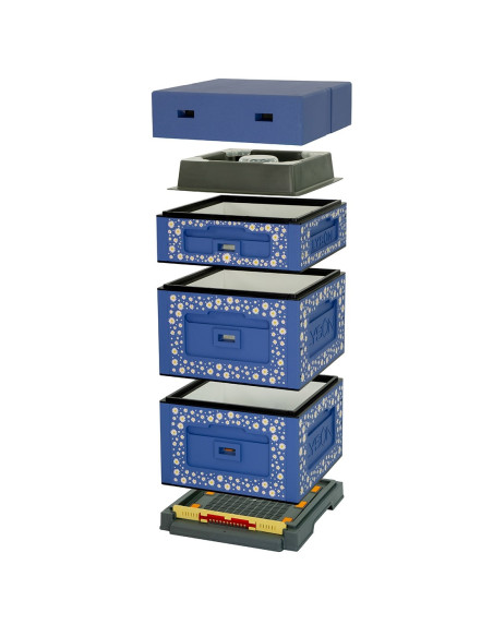 UL WIELKOPOLSKI 10-RAMKOWY MALOWANY Z NADRUKIEM STOKROTKA DO SAMODZIELNEGO MONTAŻU - OPTIMA - CIEMNONIEBIESKI