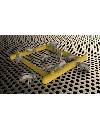 Bee Gym &ndash; Bezchemiczne Urządzenie do Walki z...