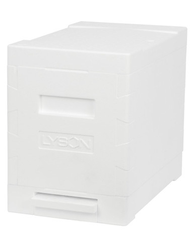 UL 6 RAMKOWY WIELKOPOLSKI EPS - NIEMALOWANY