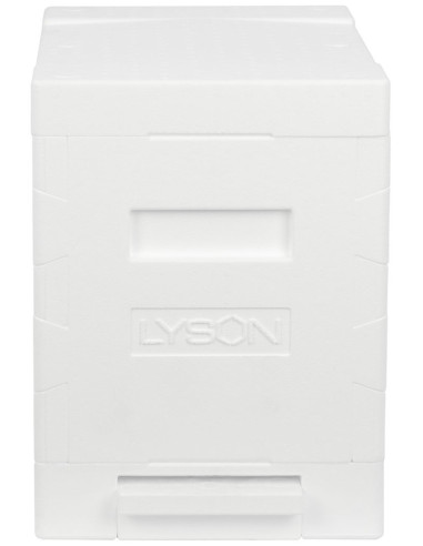 UL 6 RAMKOWY WIELKOPOLSKI EPS - NIEMALOWANY