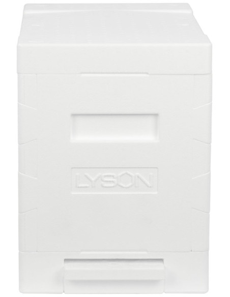 UL 6 RAMKOWY WIELKOPOLSKI EPS - NIEMALOWANY