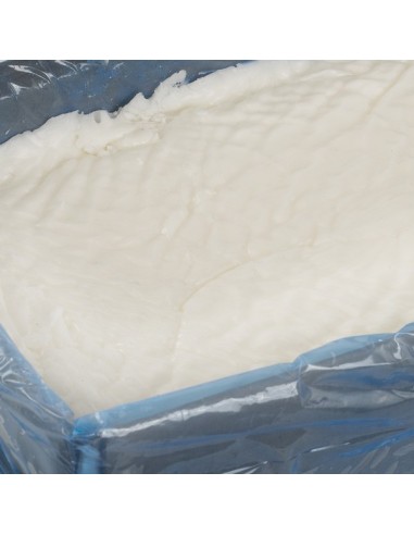 HOLGER FOOD - CIASTO - 15KG
