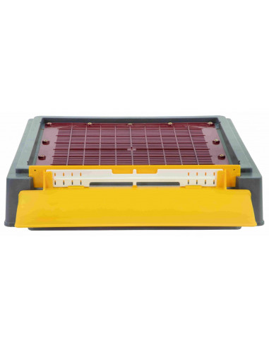 WYLOTEK ŁYSOŃ Z ZATYCZKĄ DLA DENNIC -...