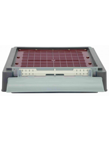 WYLOTEK ŁYSOŃ Z ZATYCZKĄ DLA DENNIC -...