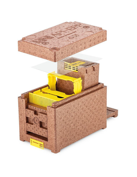 ULIK WESELNY MINI API EPP - BRĄZOWY