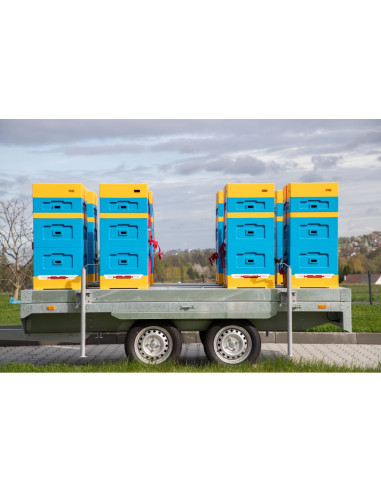 PRZYCZEPA DO TRANSPORTU ULI Z BURTAMI I WAGĄ...