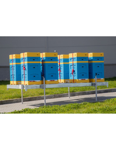 PRZYCZEPA DO TRANSPORTU ULI Z BURTAMI I WAGĄ...