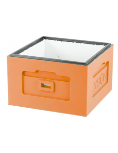 KORPUS WIELKOPOLSKI - POMARAŃCZOWY