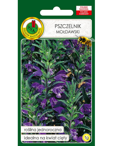 NASIONA - PSZCZELNIK MOŁDAWSKI 1G