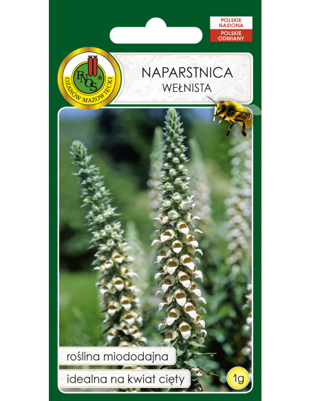 NASIONA - NAPARSTNICA WEŁNISTA 1G