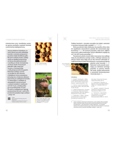 Książka - "Wosk pszczeli" ~ Bogdan Kędzia,...