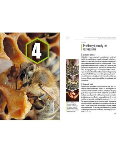 Książka - Letnie Przerywanie Czerwienia Matki w...