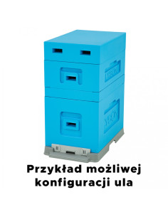 Ul 6-Ramkowy Wielkopolski z Wręgami - Malowany 2