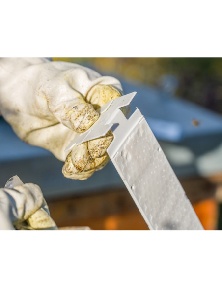 CALISTRIP® BIOX - 10 pasków z kwasem szczawiowym VET-Animal