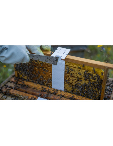 CALISTRIP® BIOX - 10 pasków z kwasem...