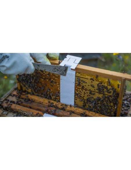 CALISTRIP® BIOX - 10 pasków z kwasem szczawiowym VET-Animal