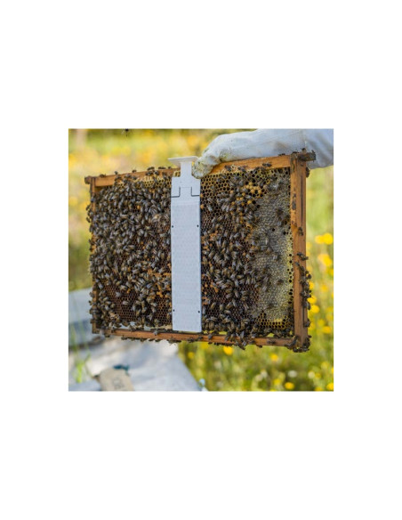 CALISTRIP® BIOX - 10 pasków z kwasem szczawiowym VET-Animal