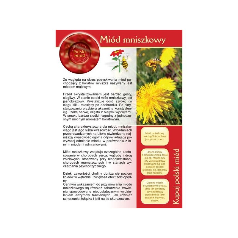 BROSZURKA INFORMACYJNA - MI&Oacute;D MNISZKOWY - 20 SZT.