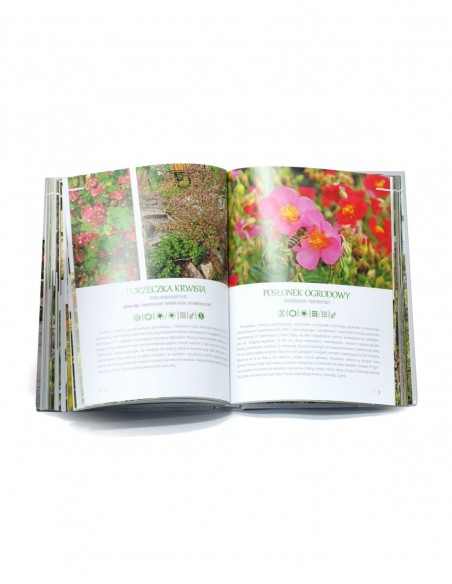 KSIĄŻKA - "ATLAS ROŚLIN MIODODAJNYCH" ~ MAREK POGORZELEC