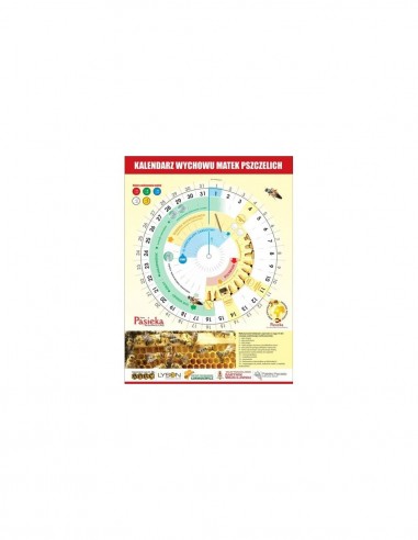 KALENDARZ DO WYCHOWU MATEK PSZCZELICH - 1 SZTUKA