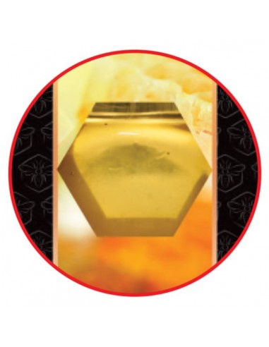 PUDEŁKO NA SŁOIK 315ML (1szt)