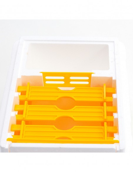 ULIK WESELNY "APITEK" - STYROPIANOWY